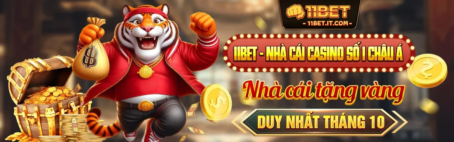 Blog 23vin chính thức: Cập nhật tin tức và khuyến mãi